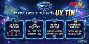 cá cược eSports trực tuyến uy tín